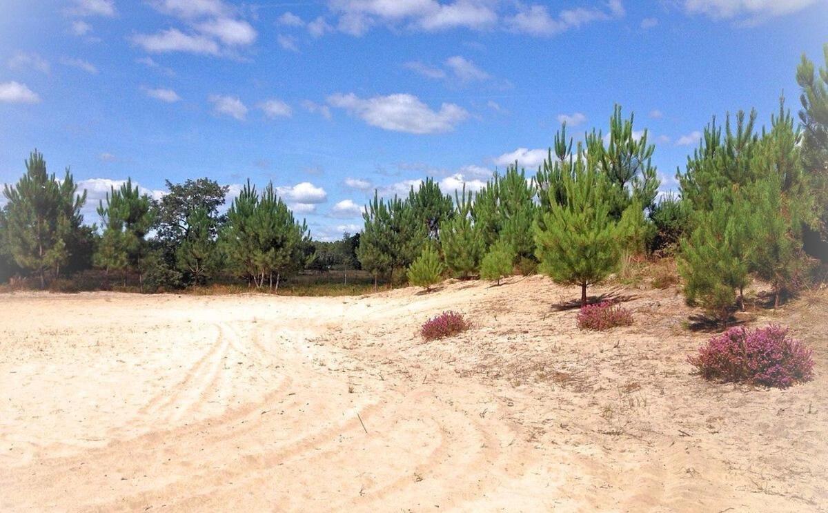 Au P'Tit Creux Des Landes Hotell Ychoux Exteriör bild